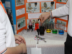 Evrensel Kolej